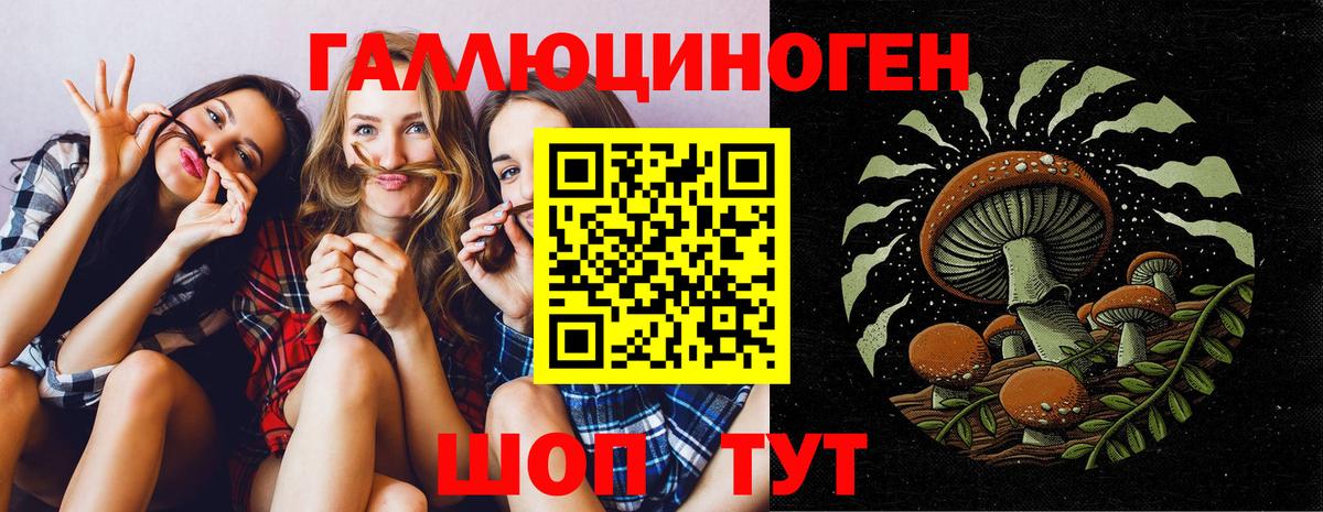 Чехов  Галлюциногенные грибы Psilocybine cubensis  Вход с VPN 