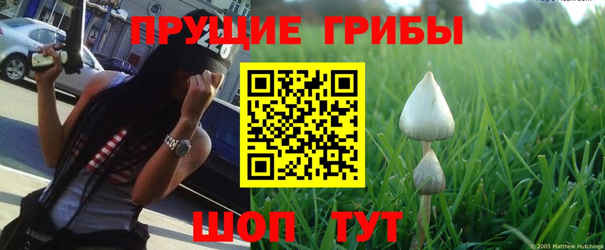 Псилоцибиновые грибы Magic Shrooms Чехов
